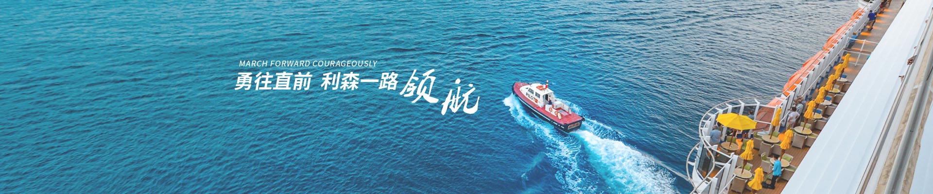 木材91视频入口观看